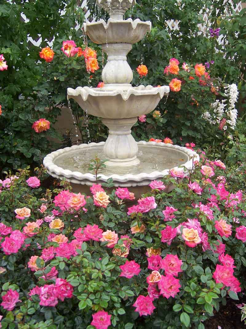 A Fountain Stock Photo Image