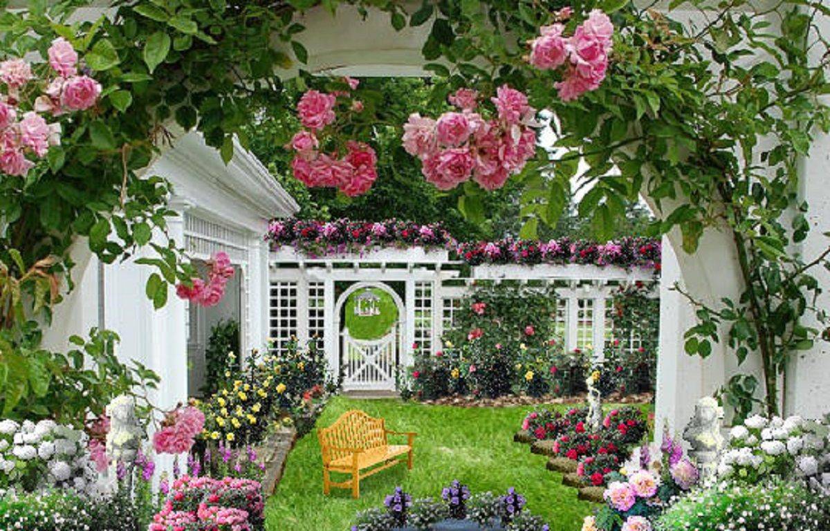 Rose Garden Garden Garden Landscaping Rose Garden