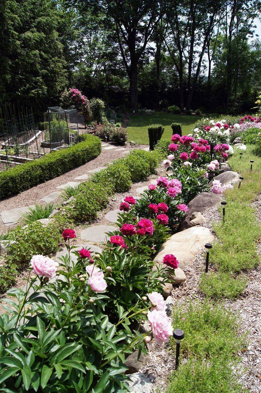Marvelous Peony Garden Landscaping Ideas