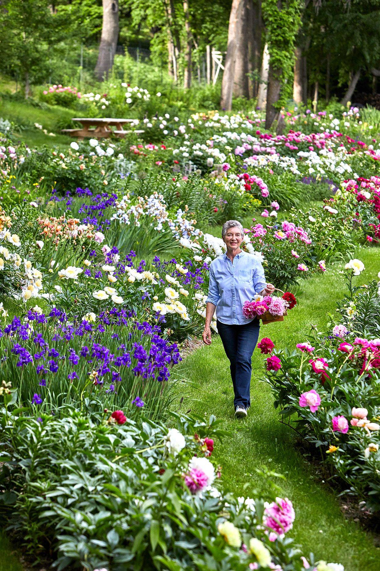 Garden Ideas