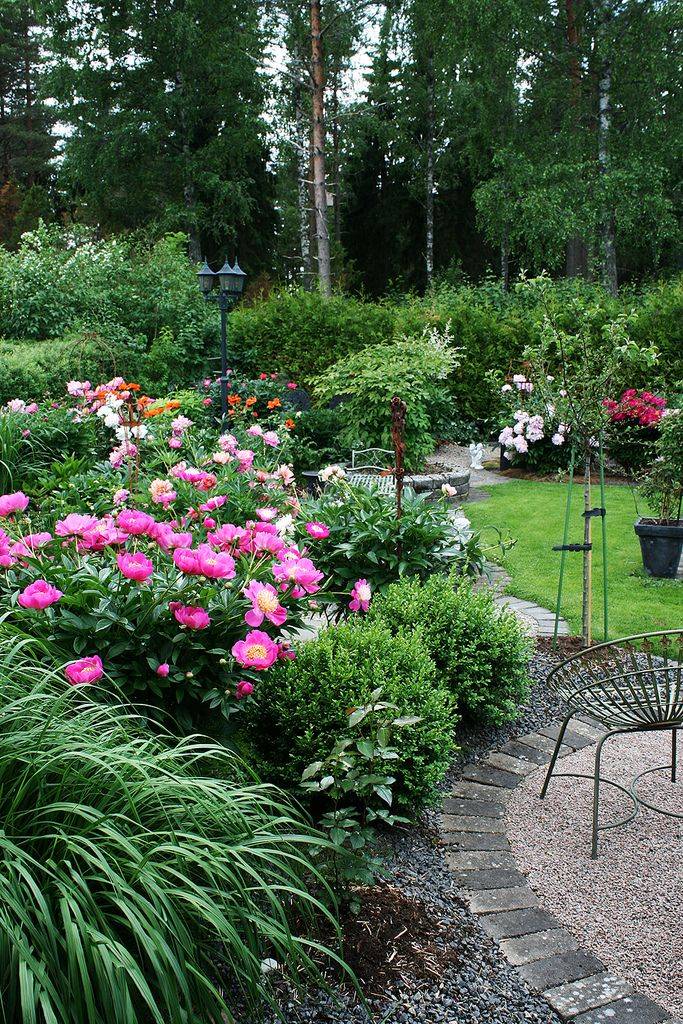 Gardening Ideas