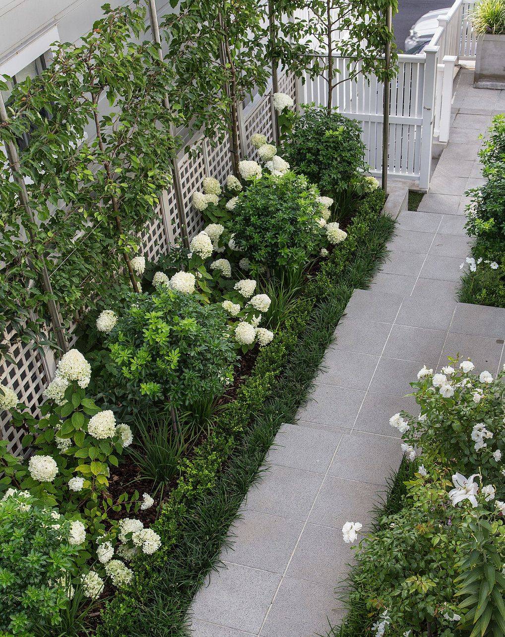 Dreamy Hydrangea Gardens