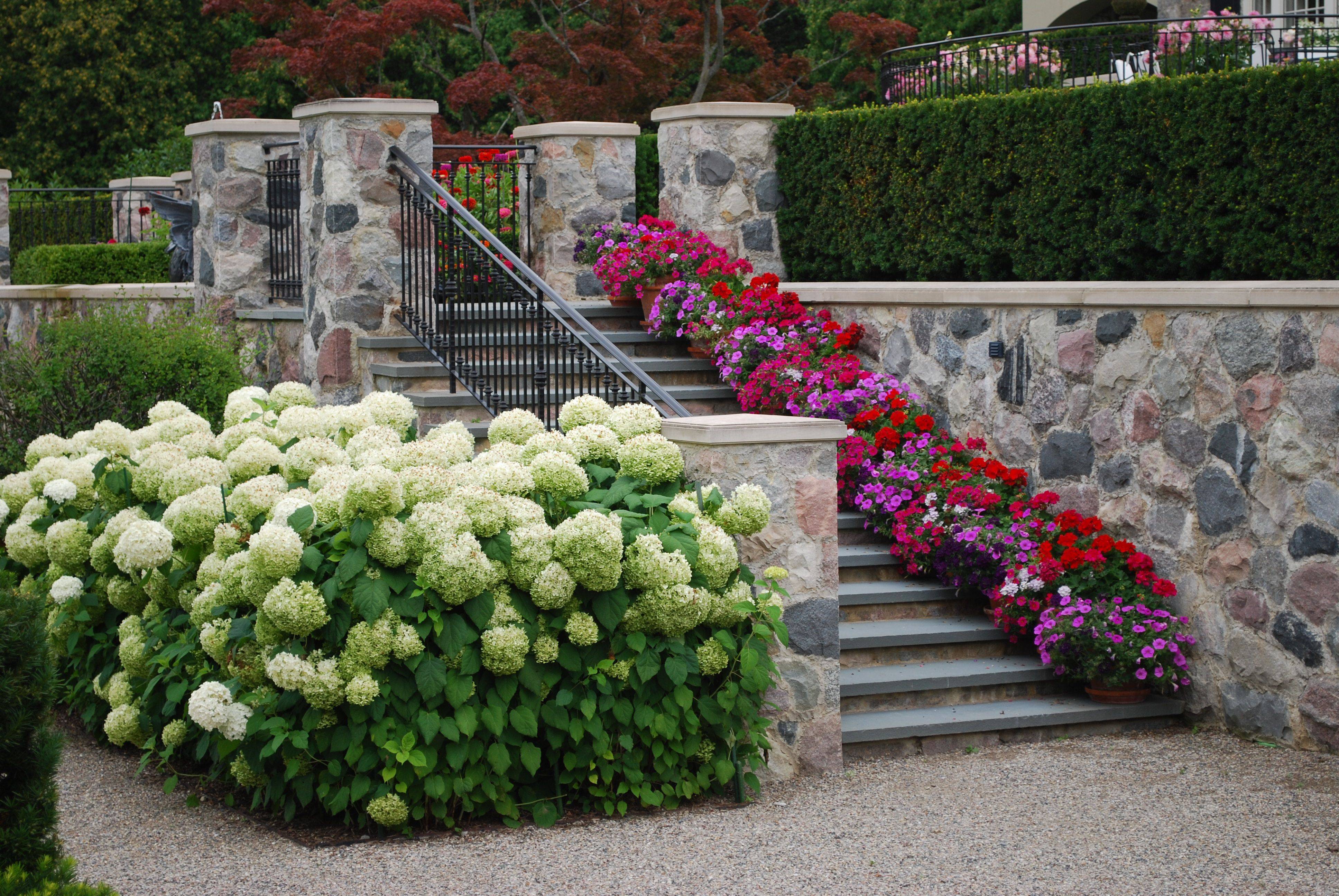 Frontyard Landscaping Ideas