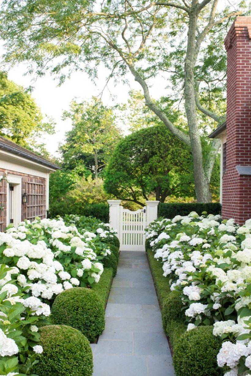 Formal Garden Border