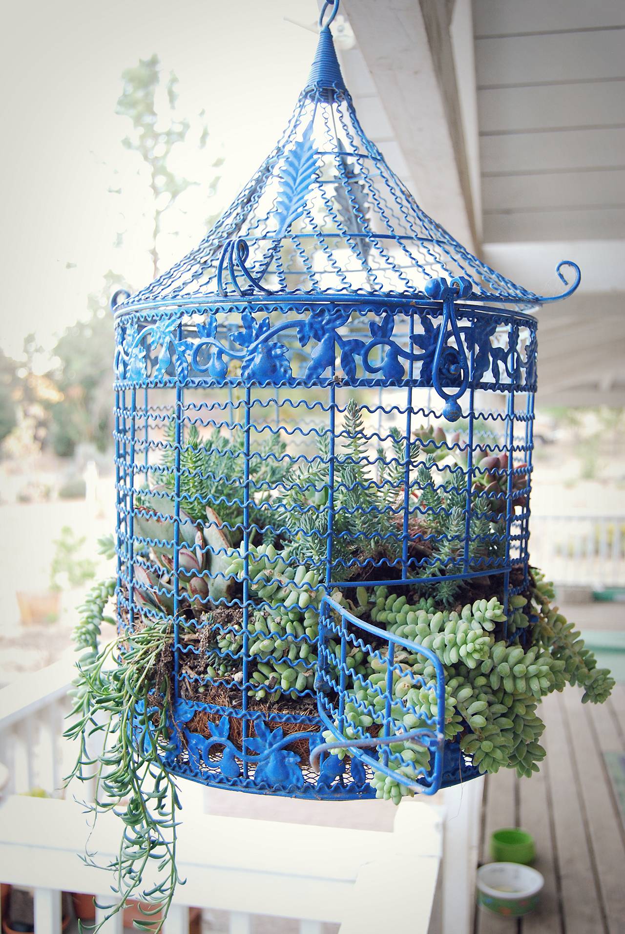 Beautiful Bird Cage Ideas