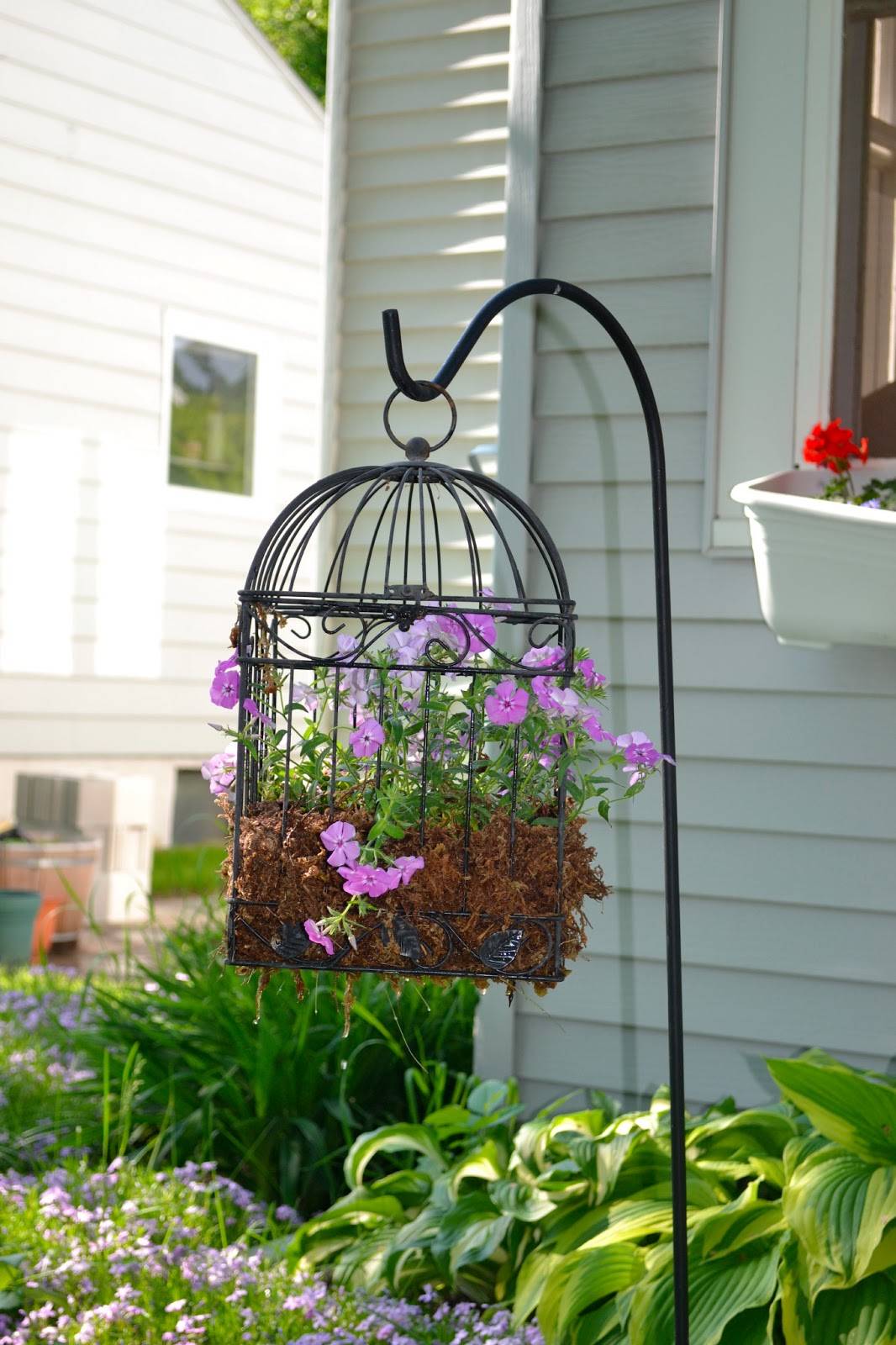 Lovely Bird Cage Ideas