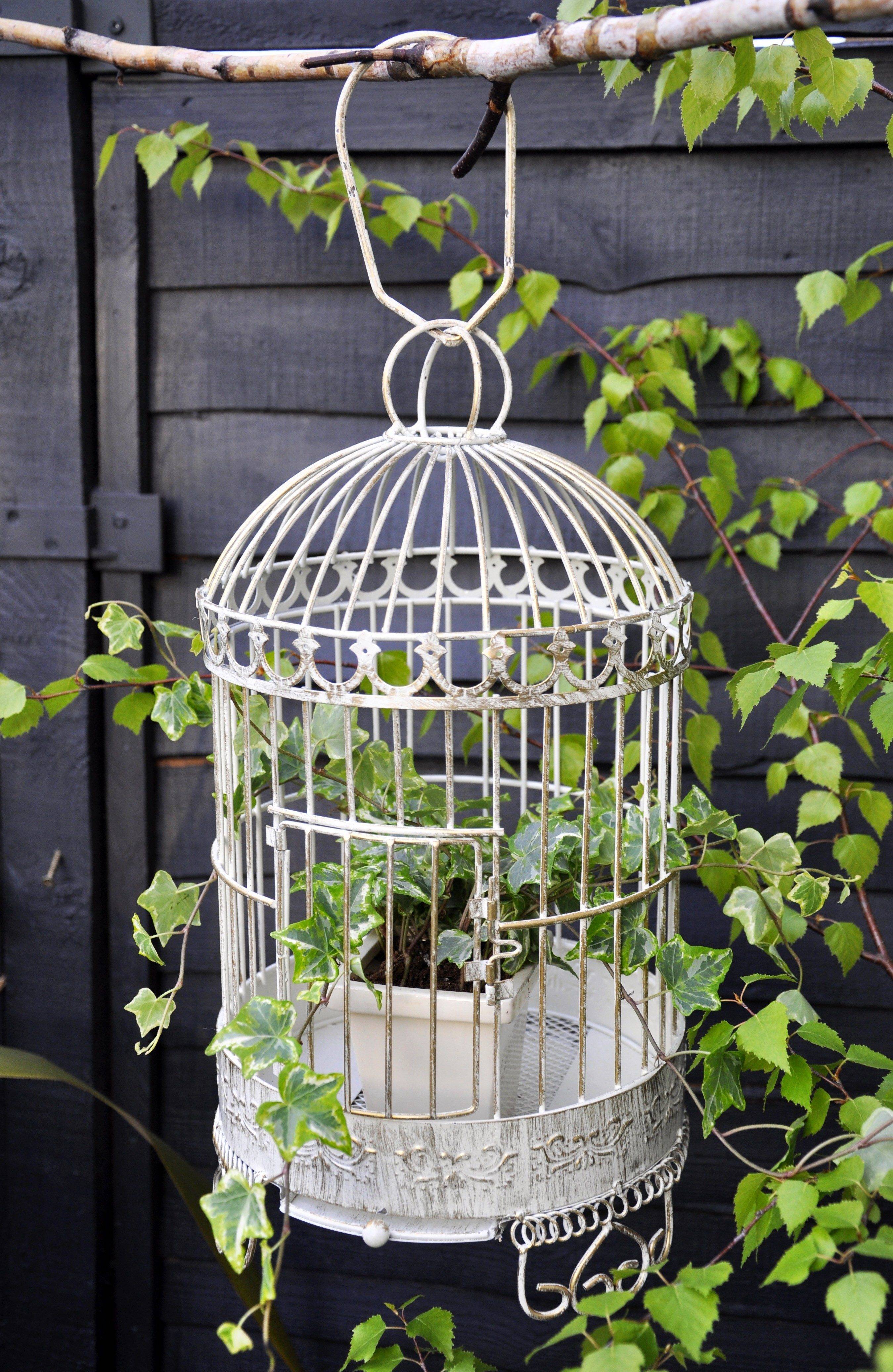 Bird Cage Planters