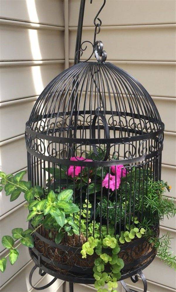 Bird Cage Planters