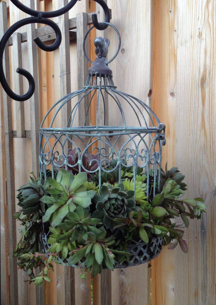 Diy Bird Cage Garden Garden Projects