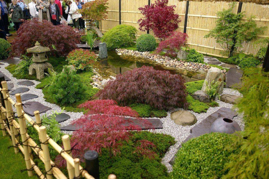Exeter Japanese Garden Designer Plant A Seed Garden Design