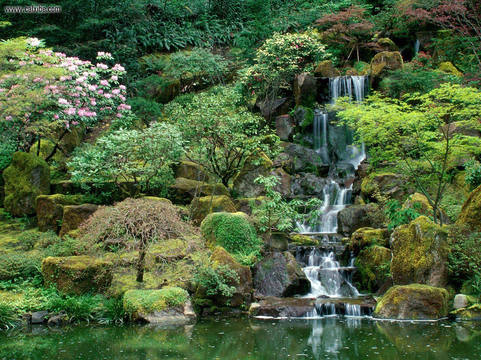 Splendid Japanese Water Garden Japanese Water Gardens