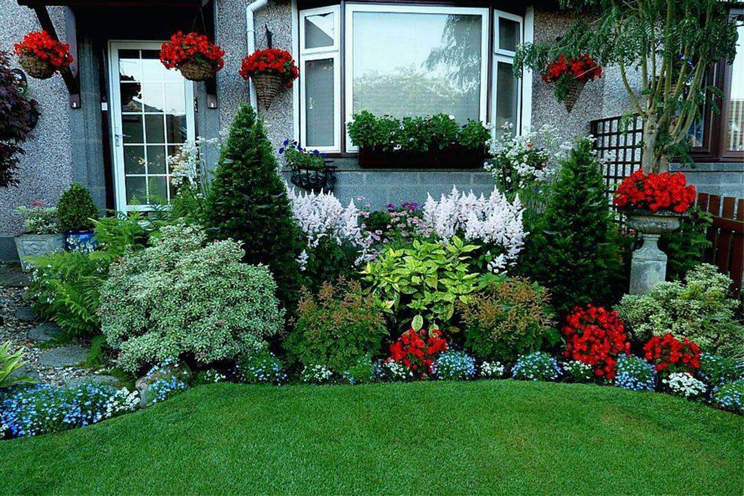 Perennial Plant Front Yard Decor Renewal