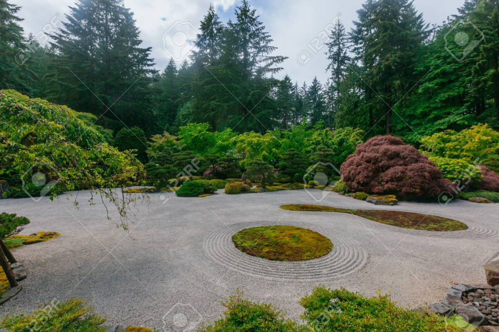 Small Japanese Garden