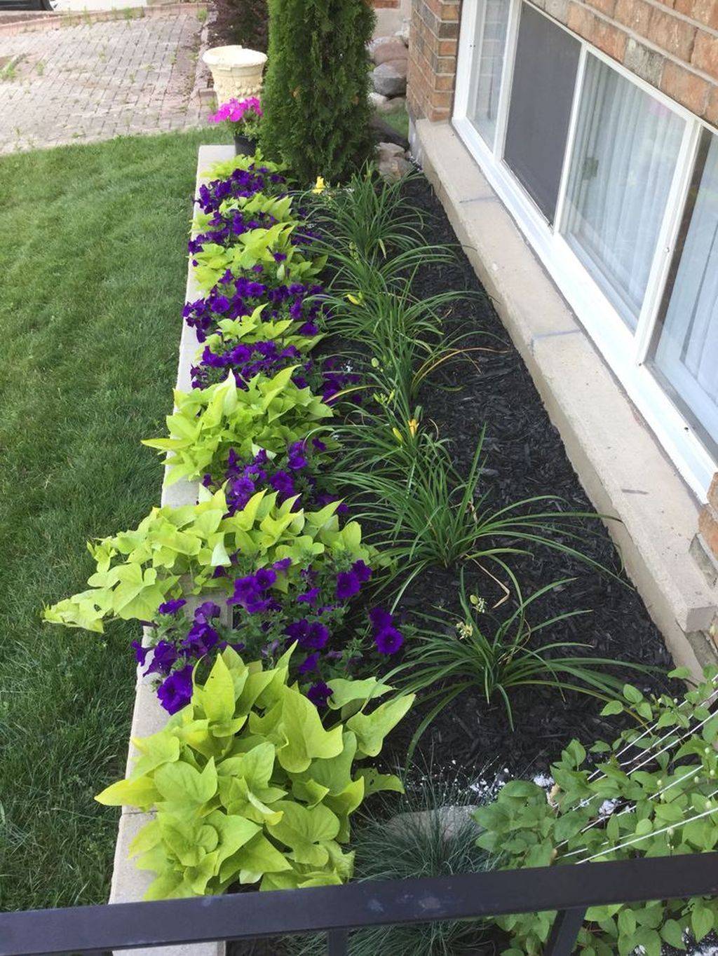 Flower Landscaping Ideas