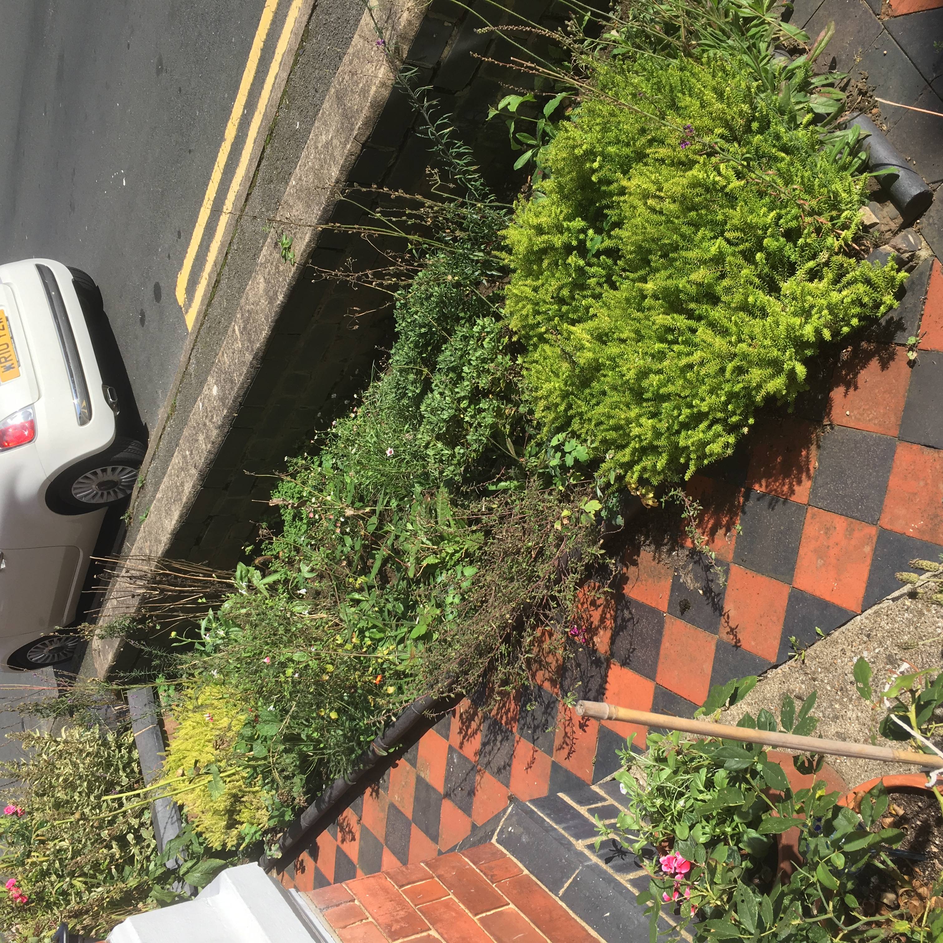 Small Terraced Front Garden Ideas