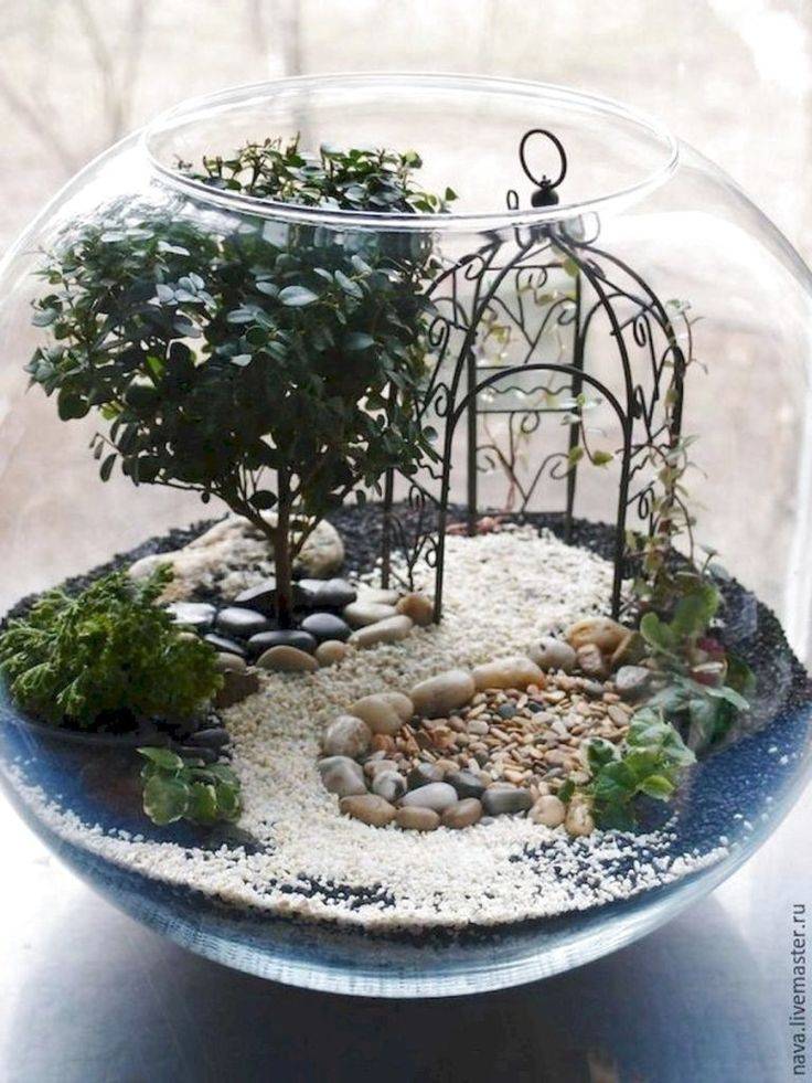 Georgeus Indoor Fairy Garden Ideas