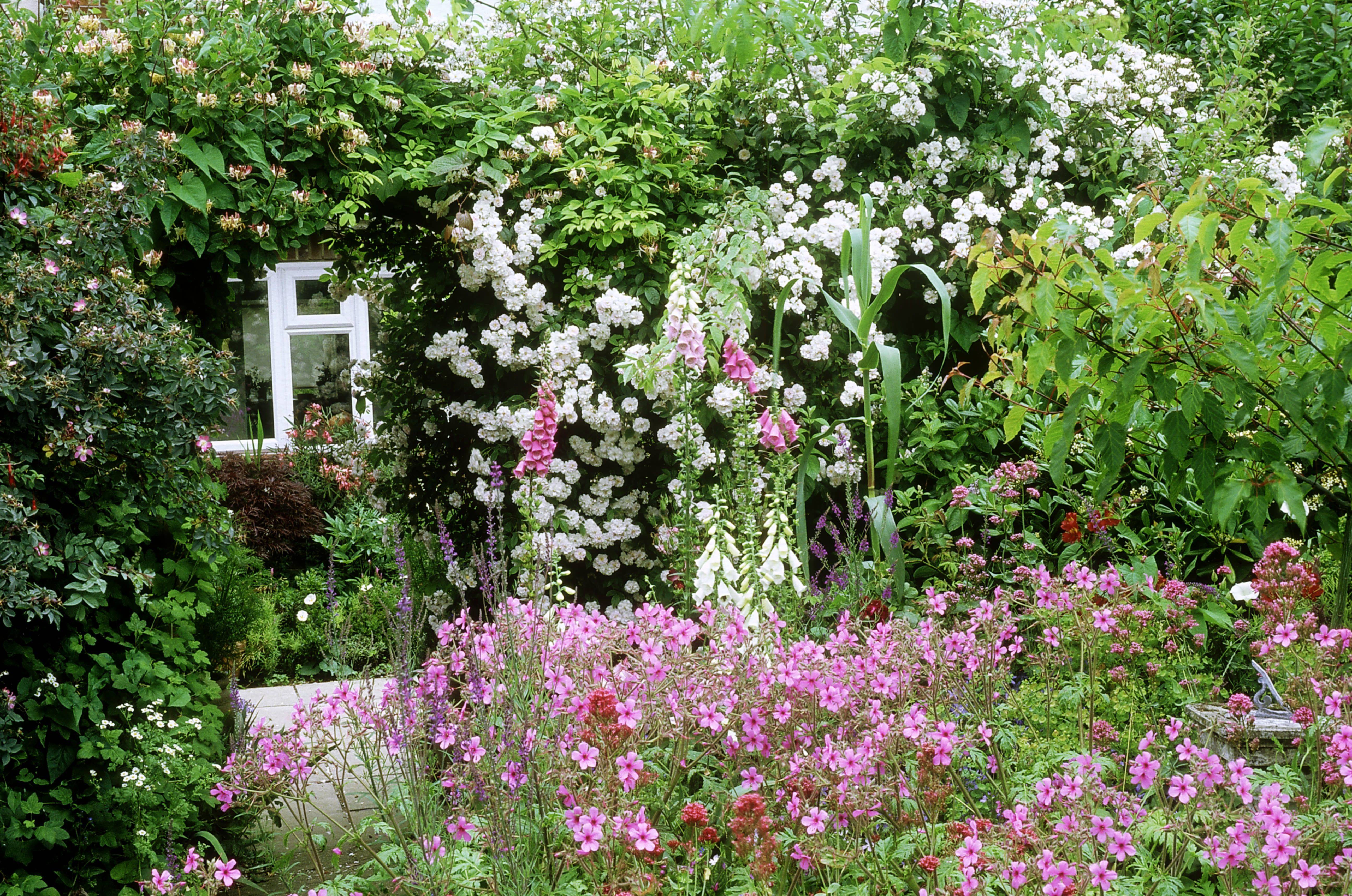 Beautiful Small Cottage Flowers Garden