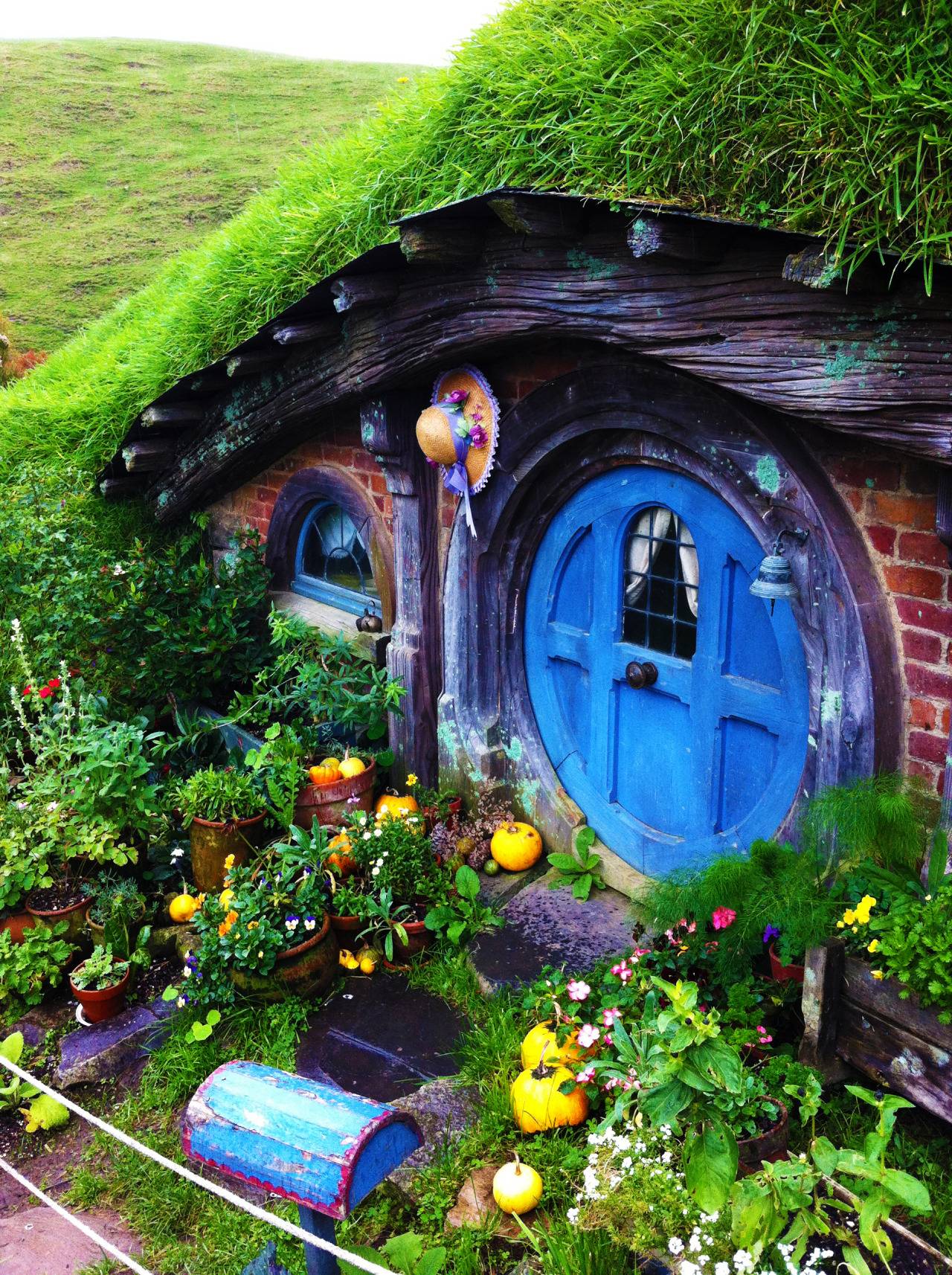 Fairy Garden Window Flowers