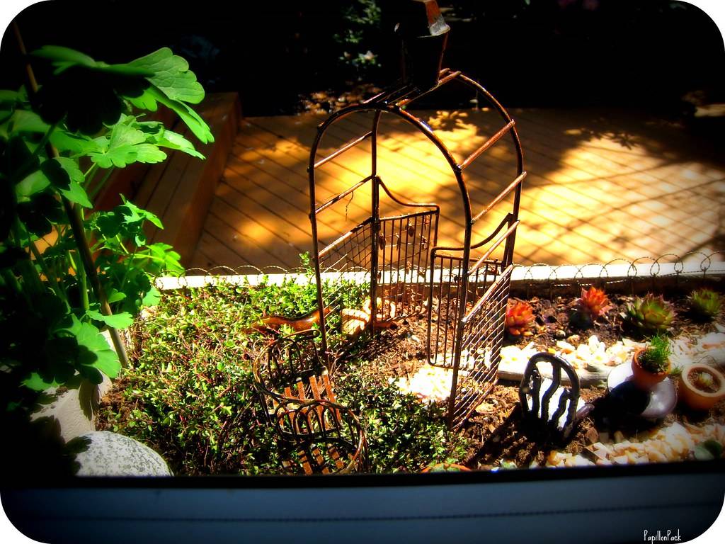 Basement Windowwell Fairy Garden
