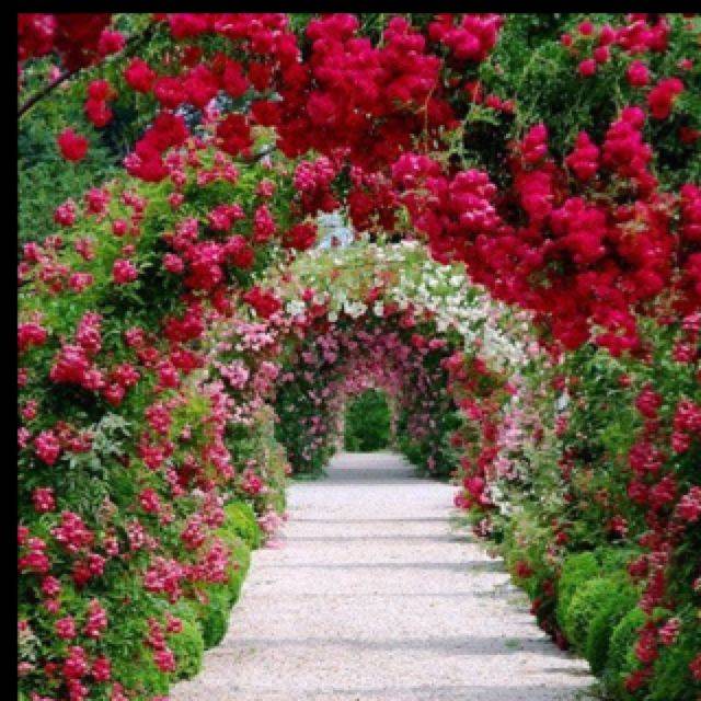 International Rose Test Garden Attractions Travel Leisure
