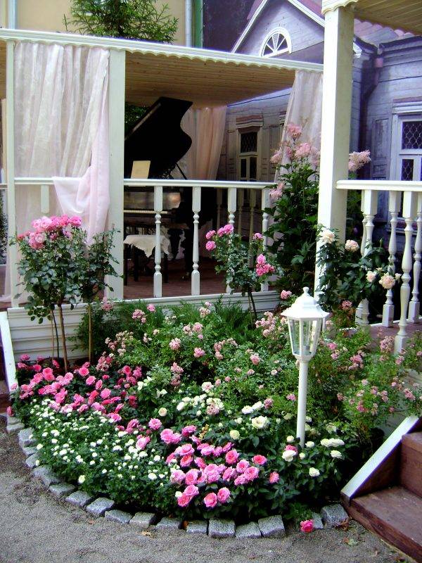 A Rose Garden