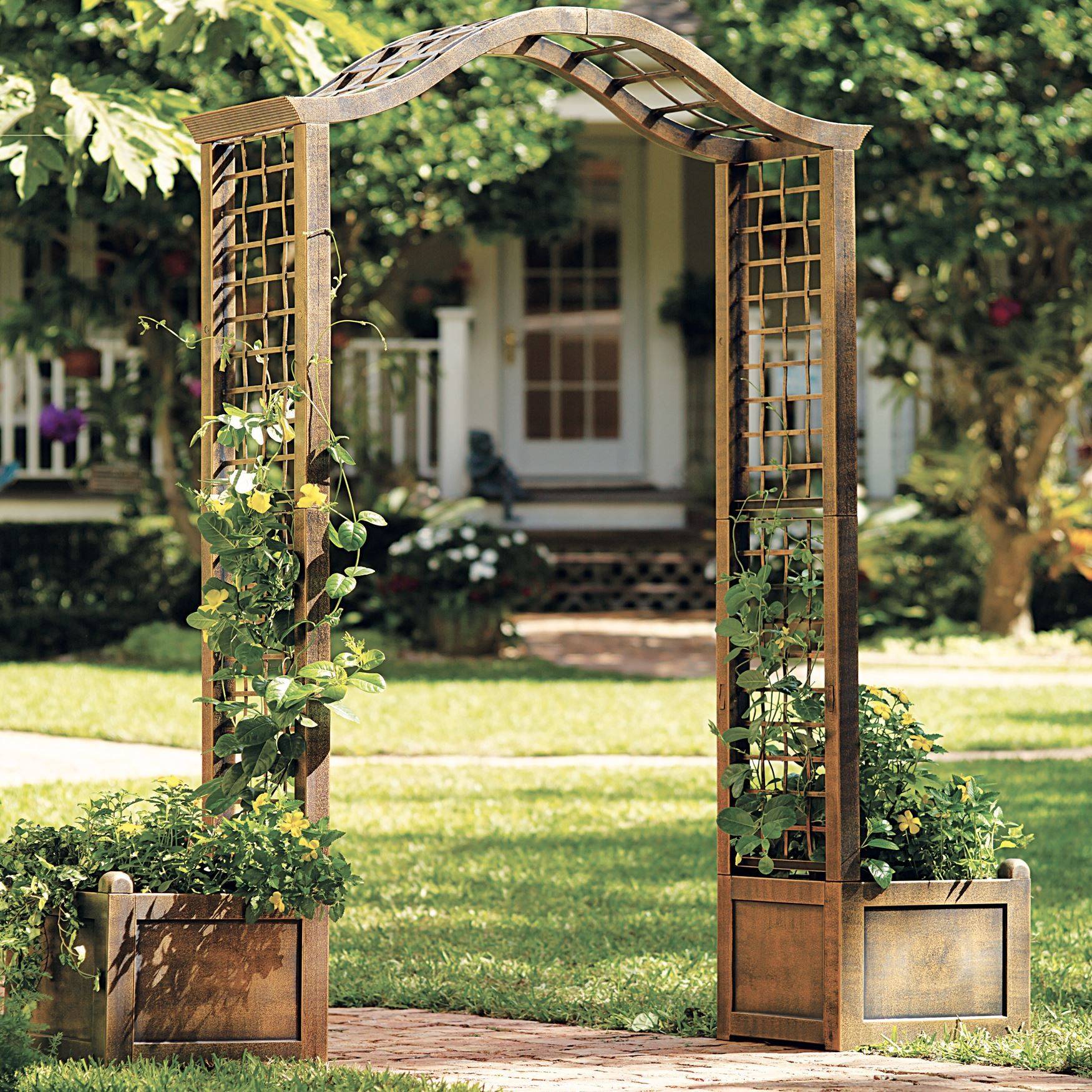 Arbors Trellises Here S