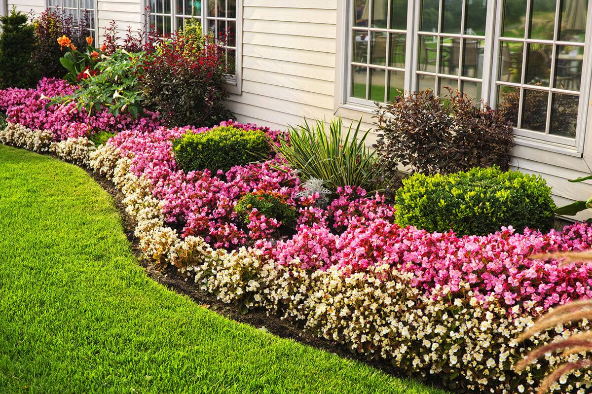 Wheelbarrowgardener Flower Bed Designs