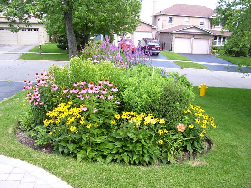 Flower Bed Ideas