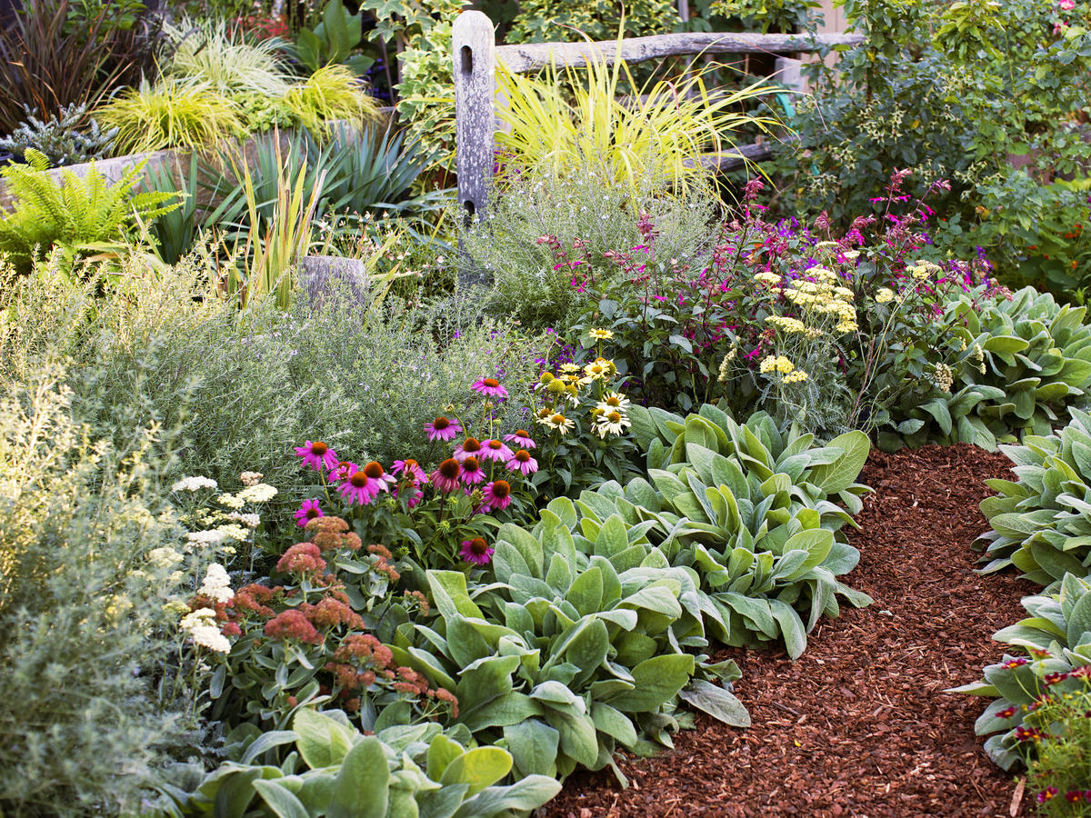 Front Yard Perennial Flower Bed