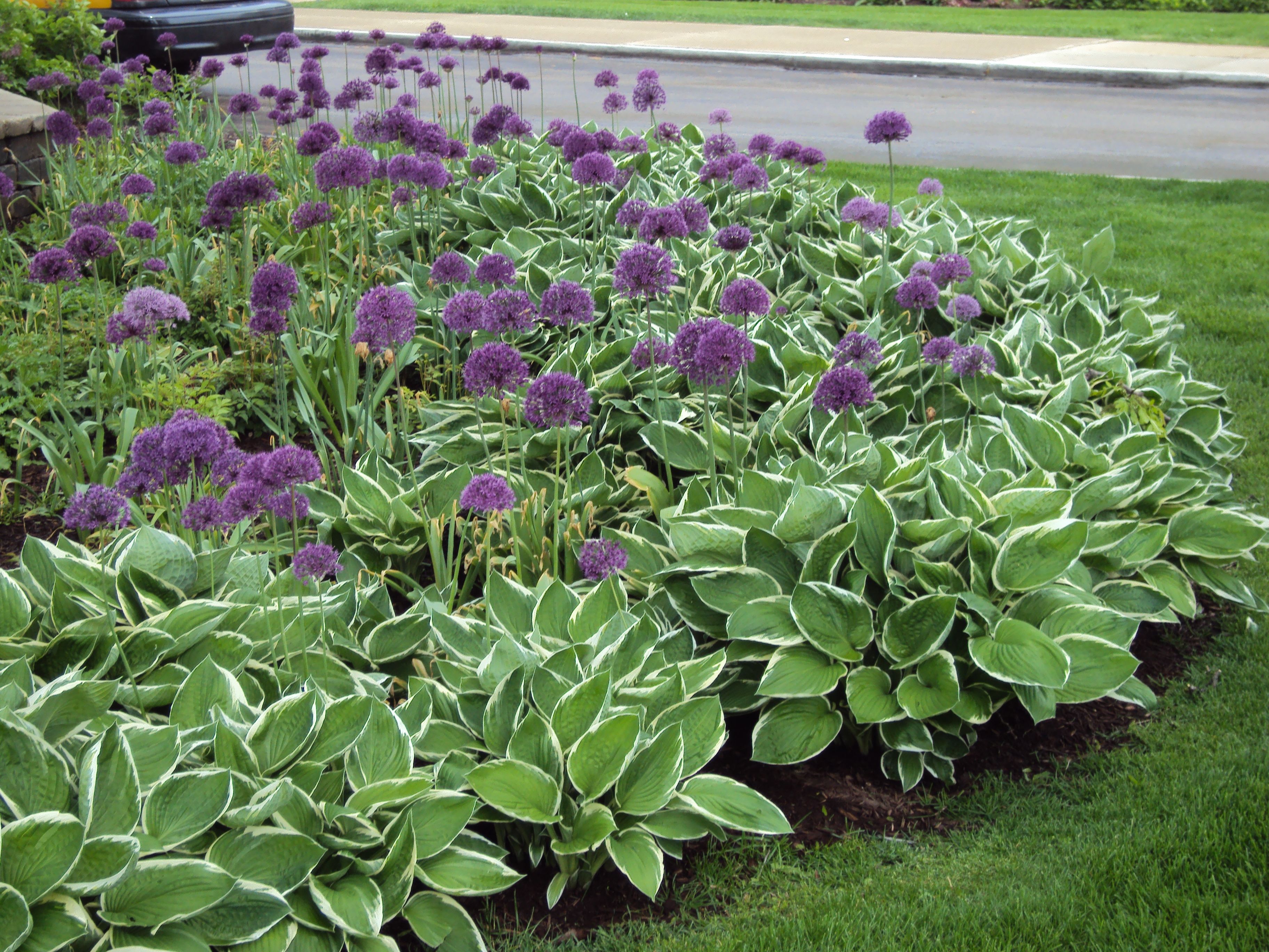 House Flower Beds Perennial Gardens Garden