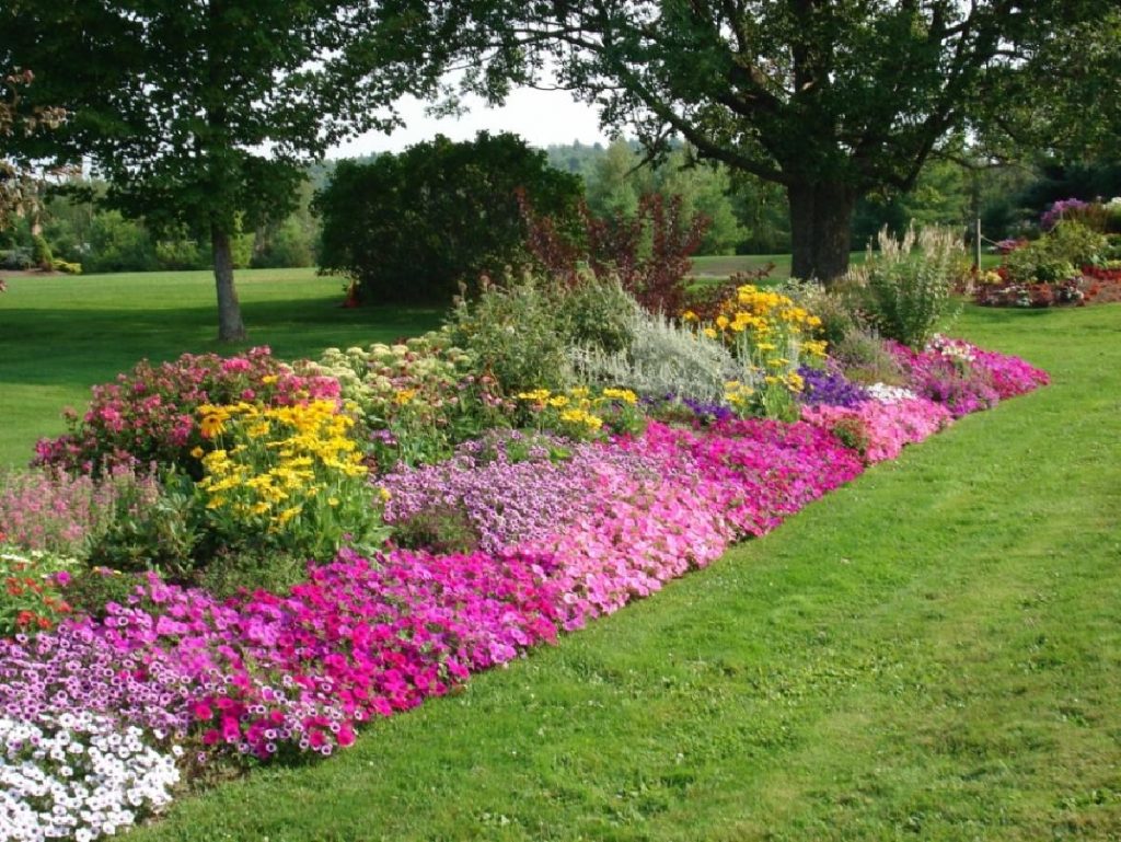 Shade Landscape Patio Small Flower Garden Design Designs Fascinating