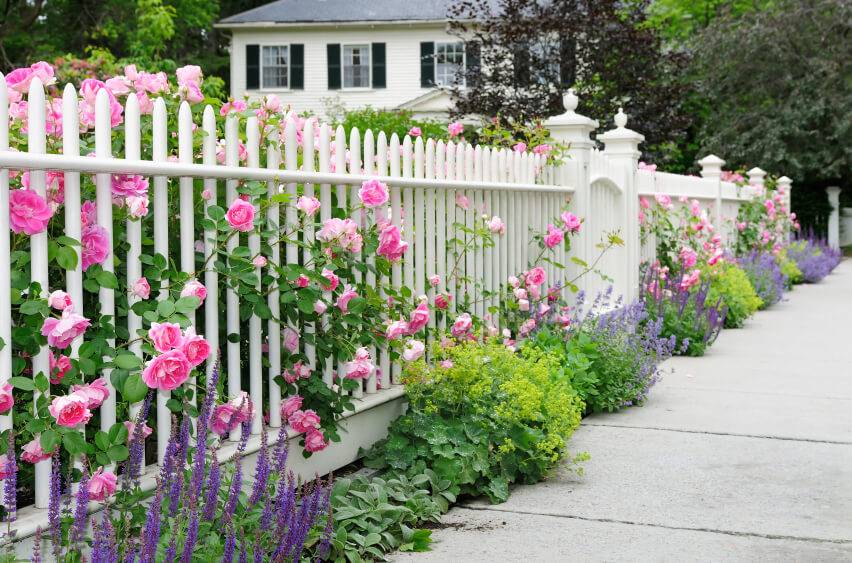 Beautiful Garden Fence Ideas