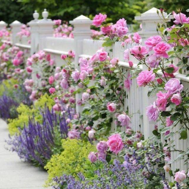 Beautiful Garden Fence Ideas