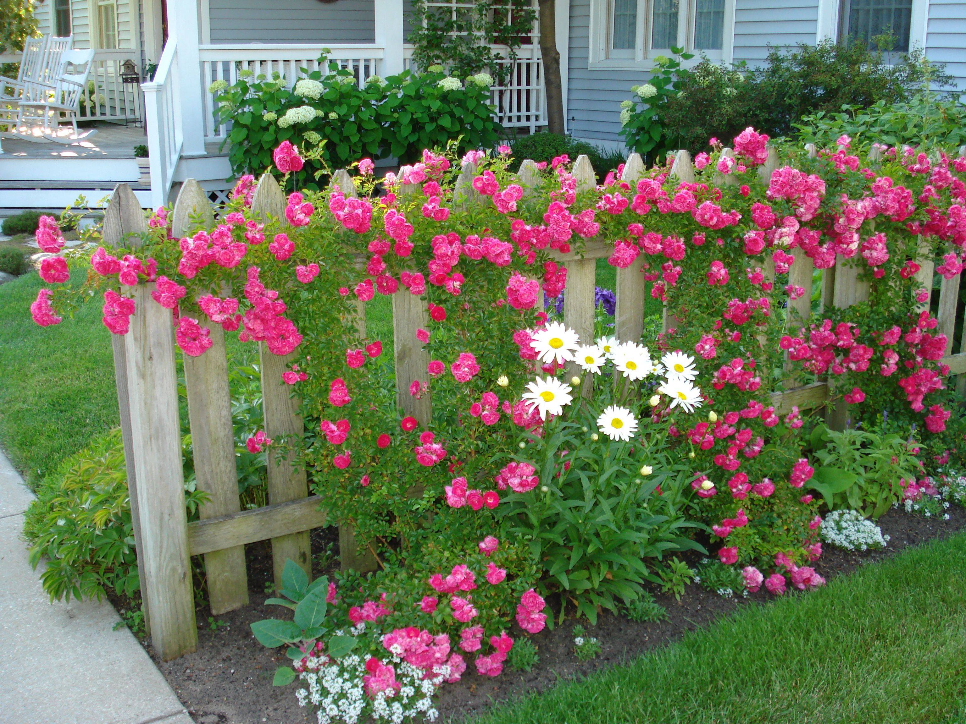 Picket Fences Gorgeous Gardens
