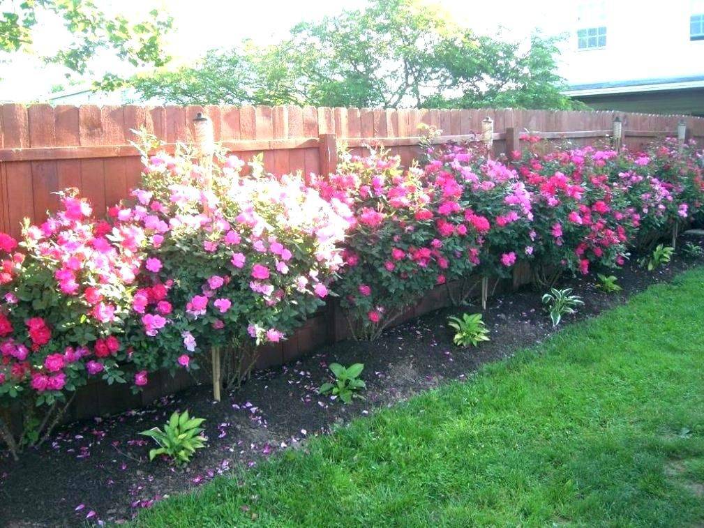 Best White Picket Fence Ideas