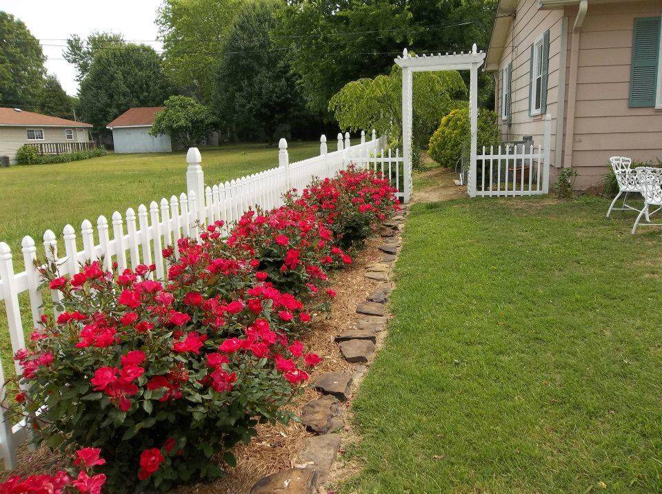 Google Search Rose Garden Landscape