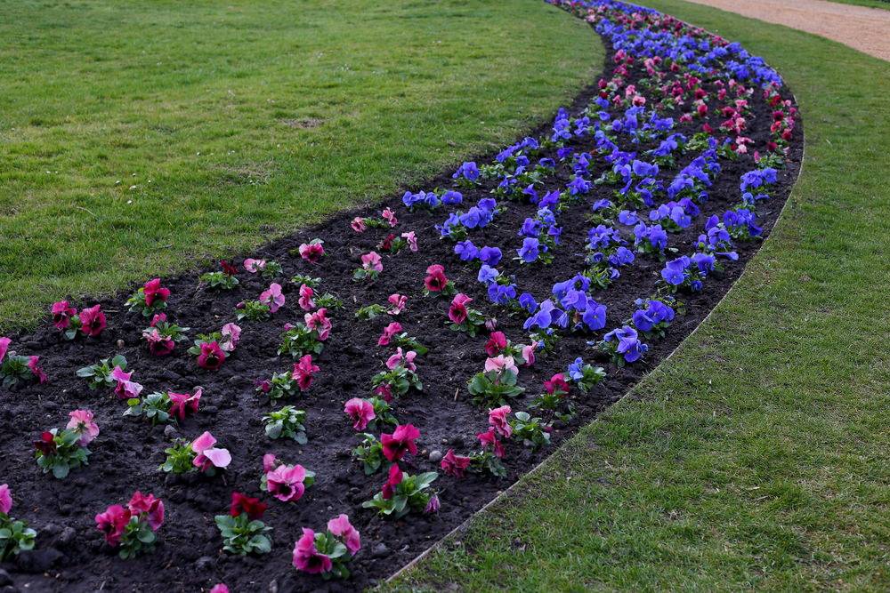 Amazing Flower Garden Ideas