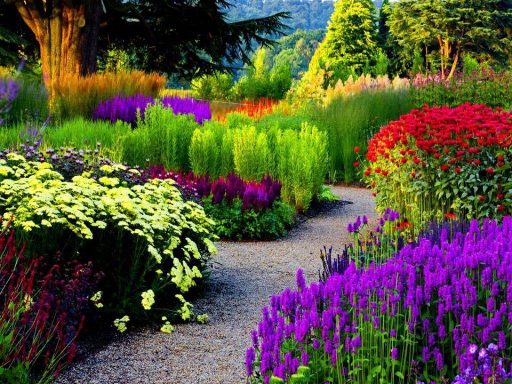 Colorful Garden Ideas