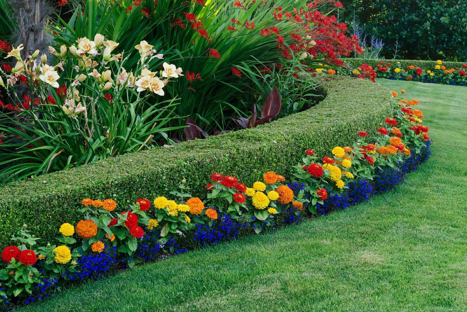 Colorful Garden Ideas