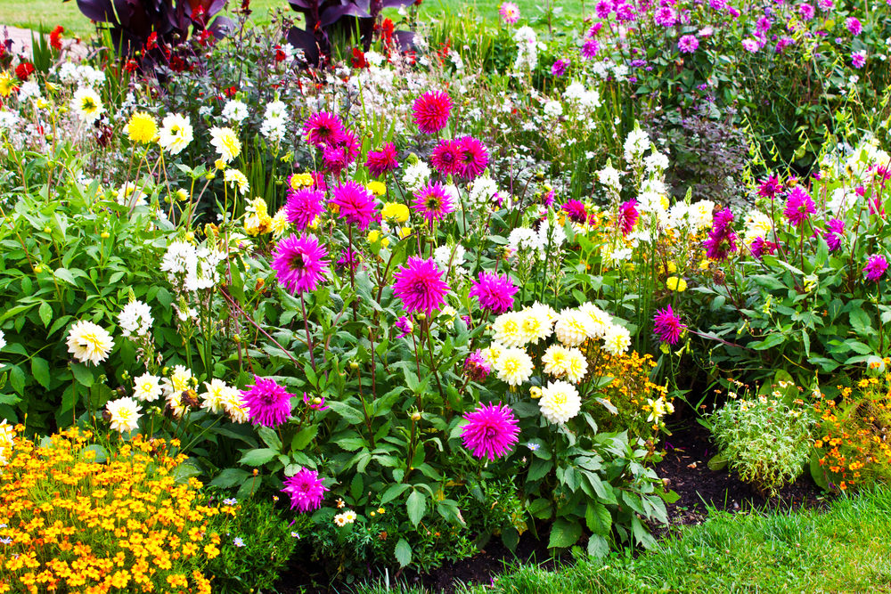 Colorful Garden Ideas