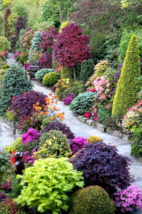 Colorful Garden Ideas