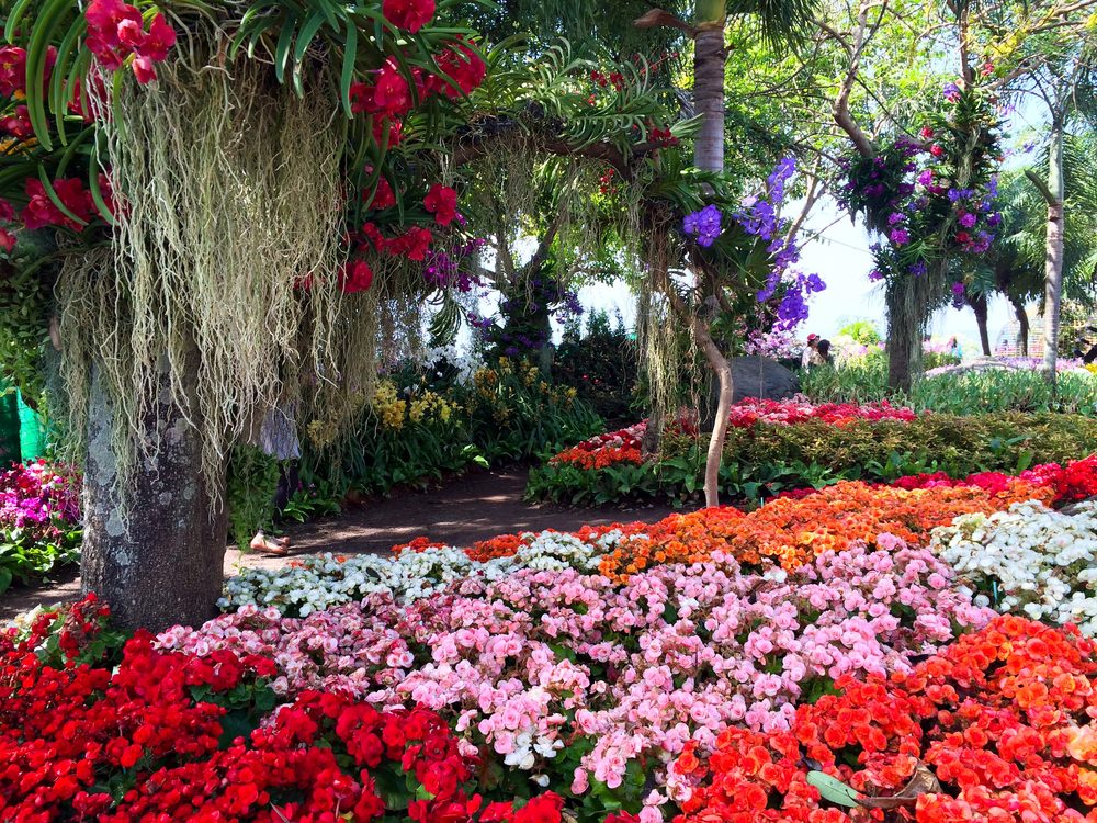 Backyard Landscaping Designs