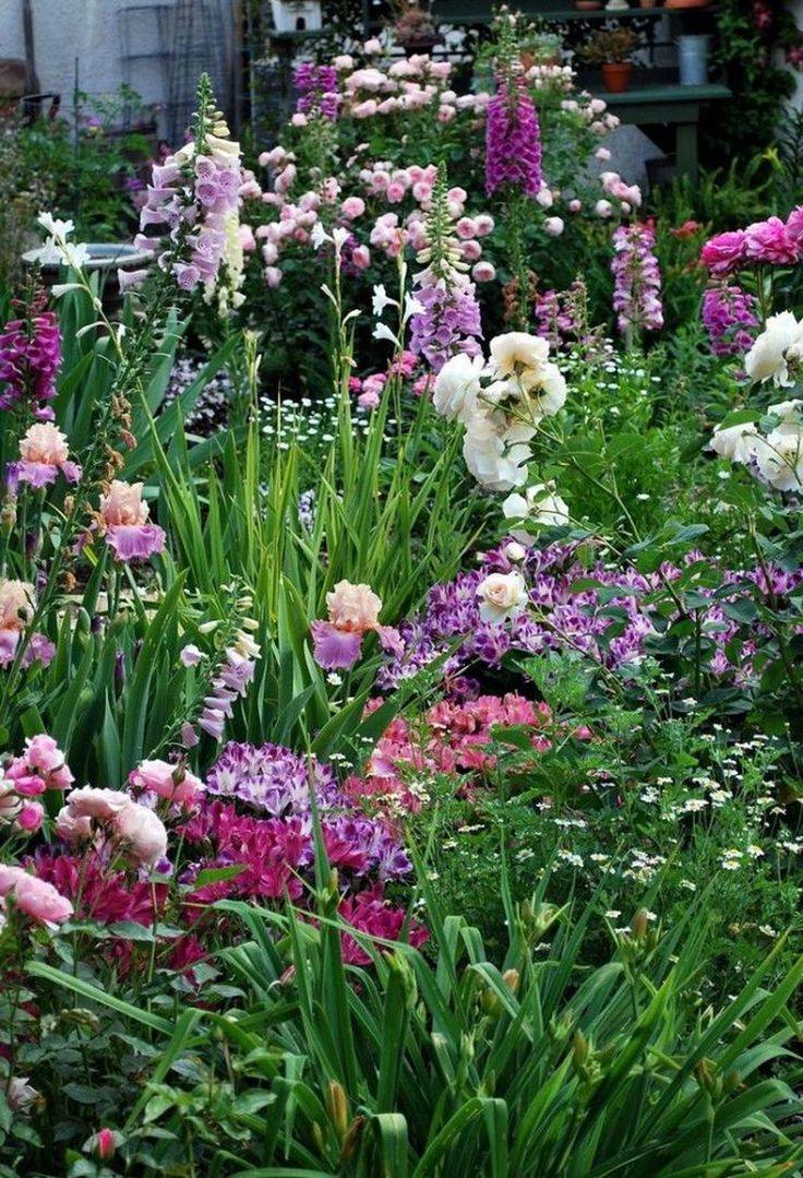 Colorful Garden Ideas