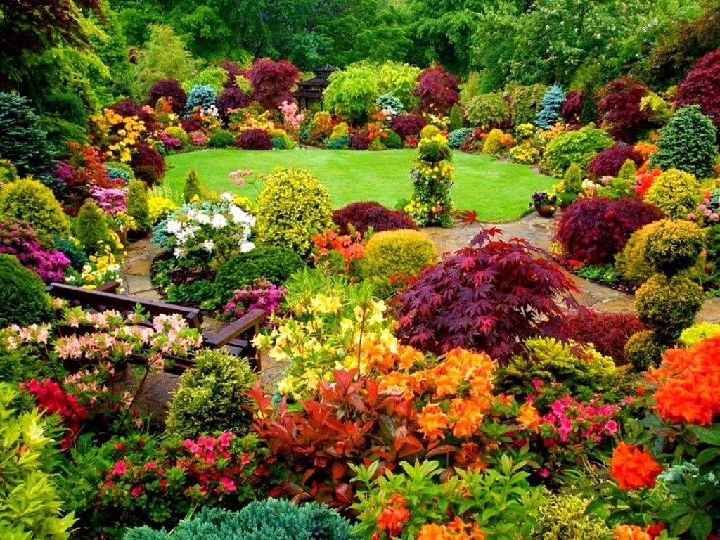 Awesomeflowerideasforcolorfulgardens Ideas And Adviceideas And
