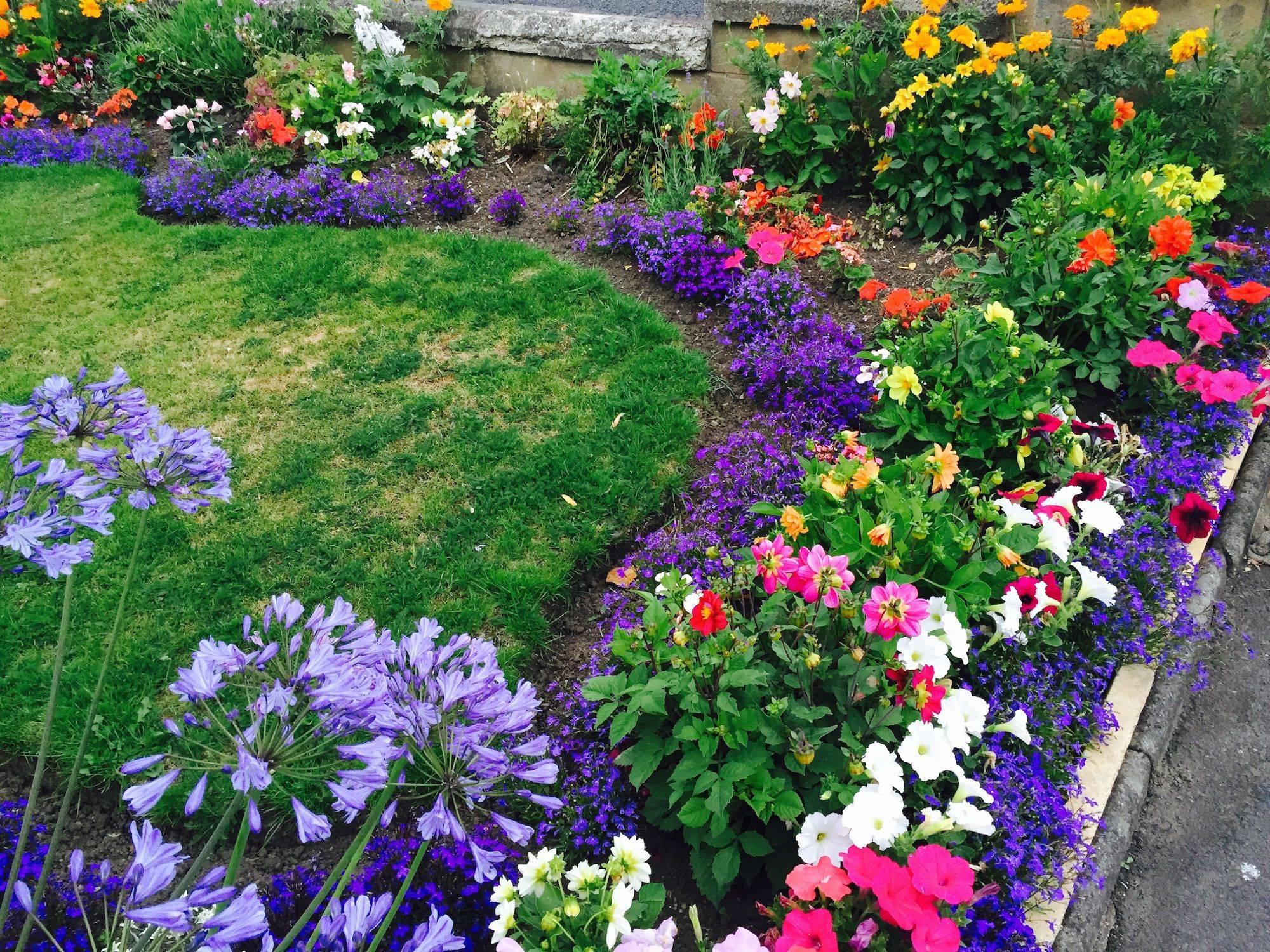 Small Front Garden Ideas