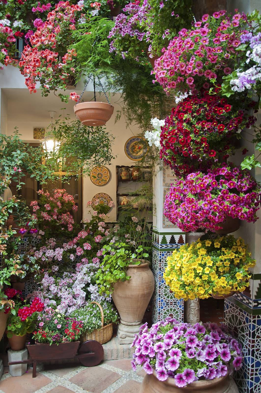Shade Landscape Patio Small Flower Garden Design Designs Fascinating