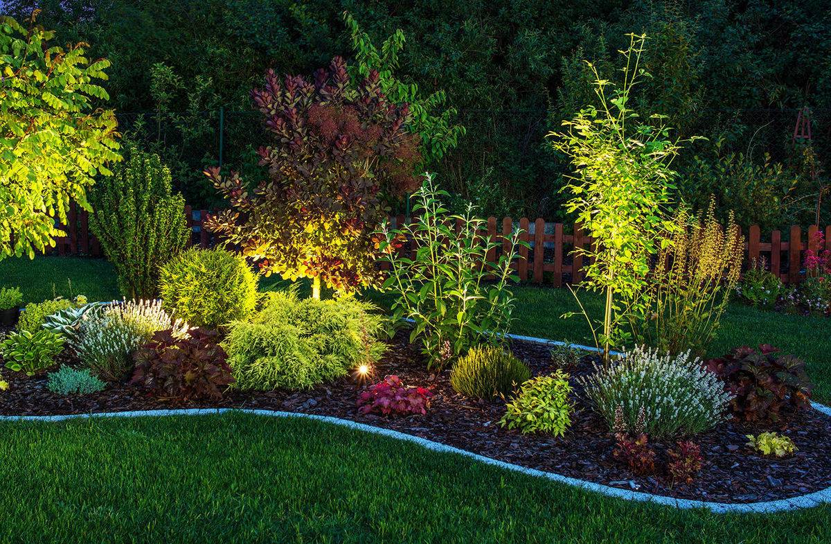 Bright Backyard Garden Ideas