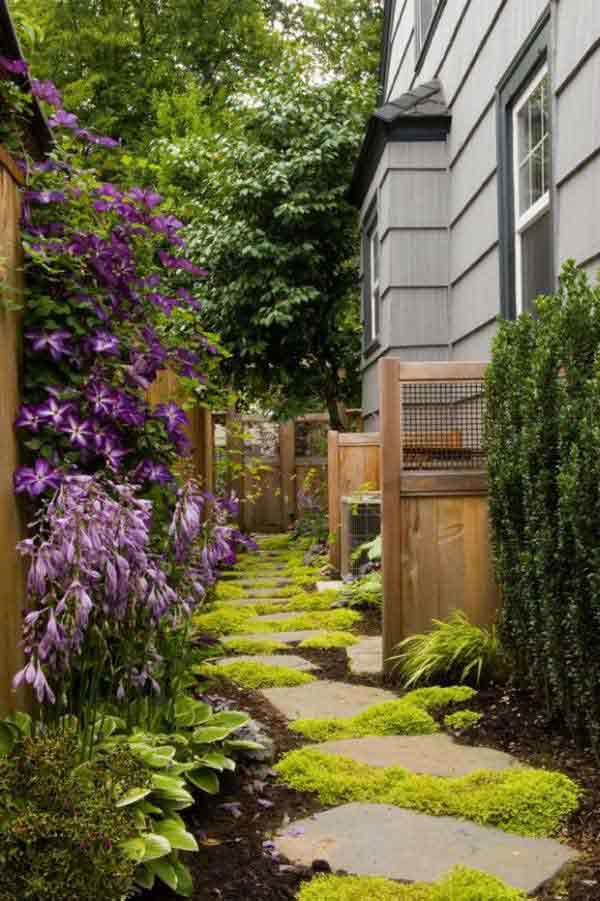 Garden Ideas