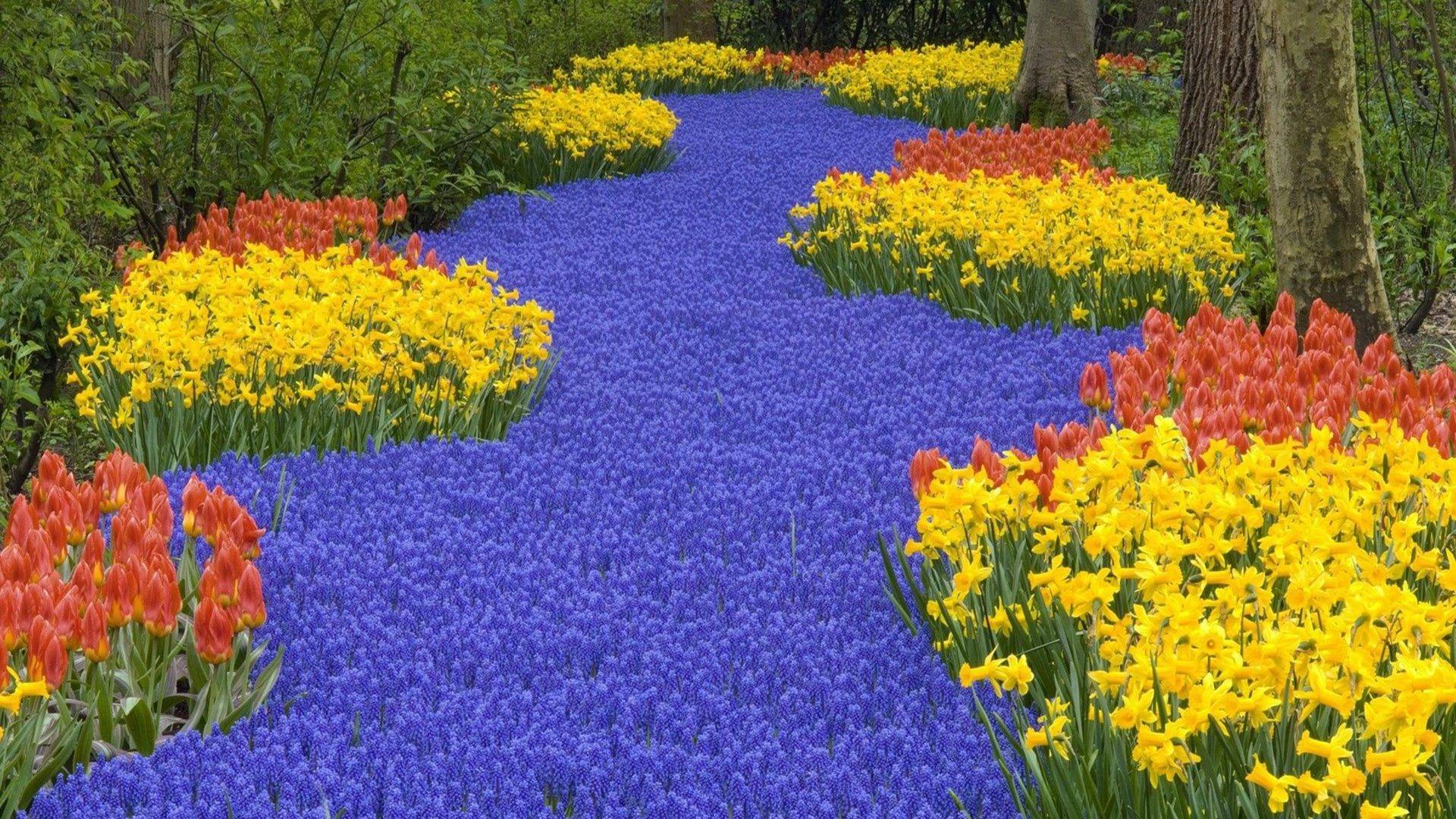 Serpentine Woodland Wall