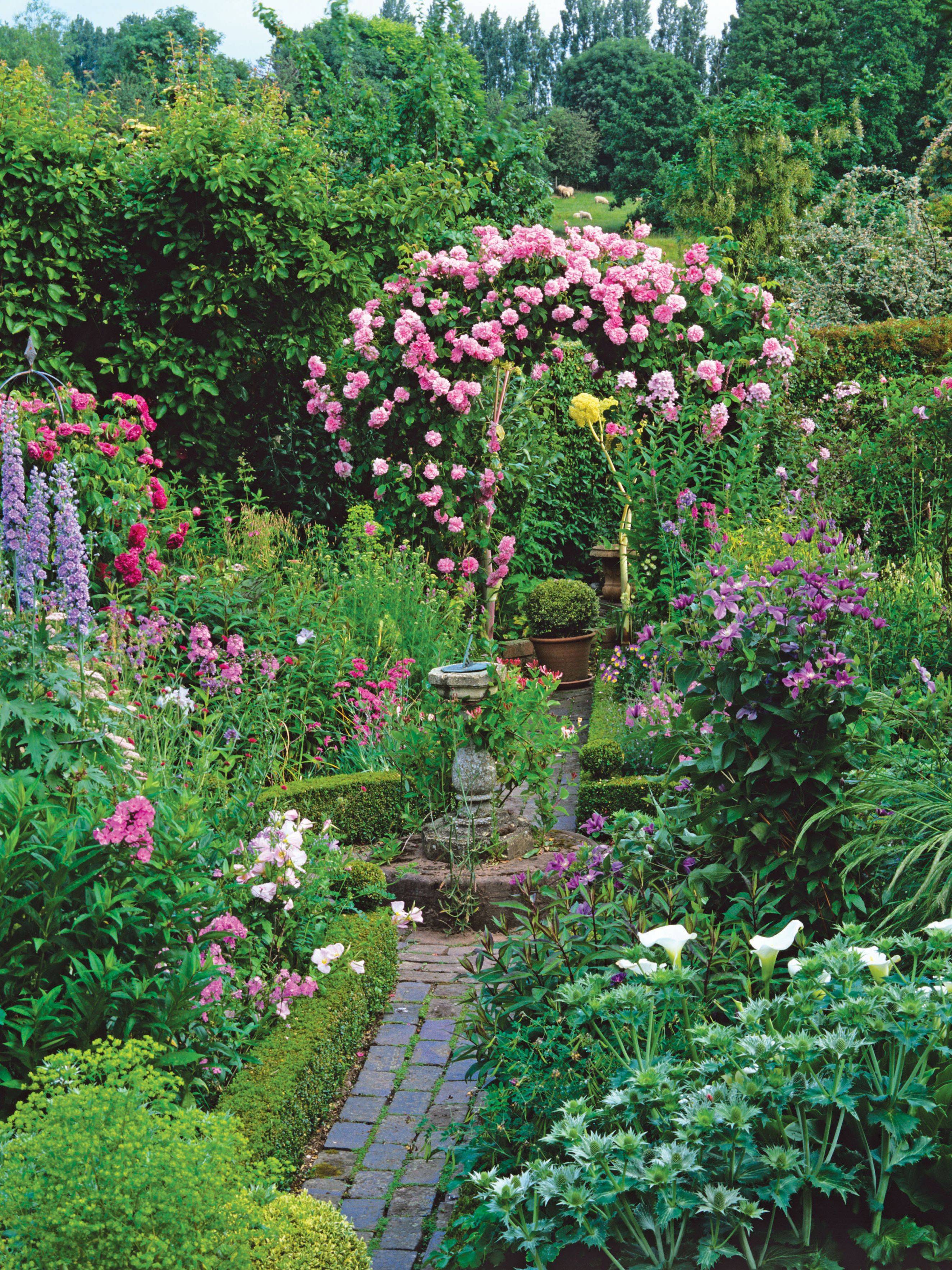 Colourful Cottage Garden
